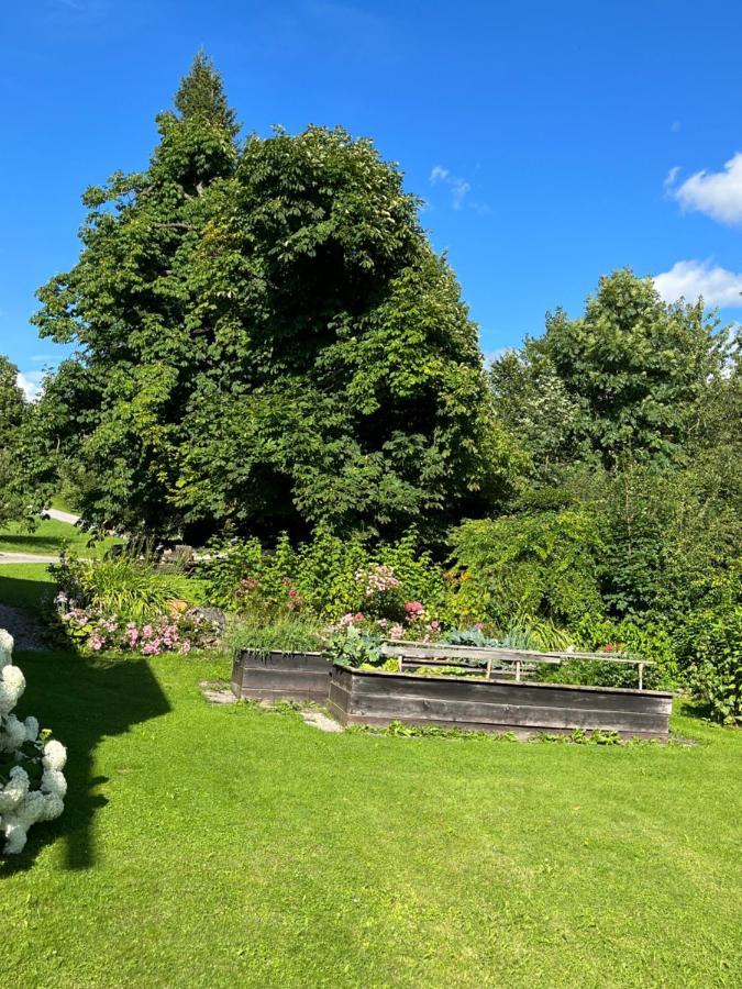 Privatzimmer Familie Pair/Schmoll Spital am Semmering Eksteriør billede
